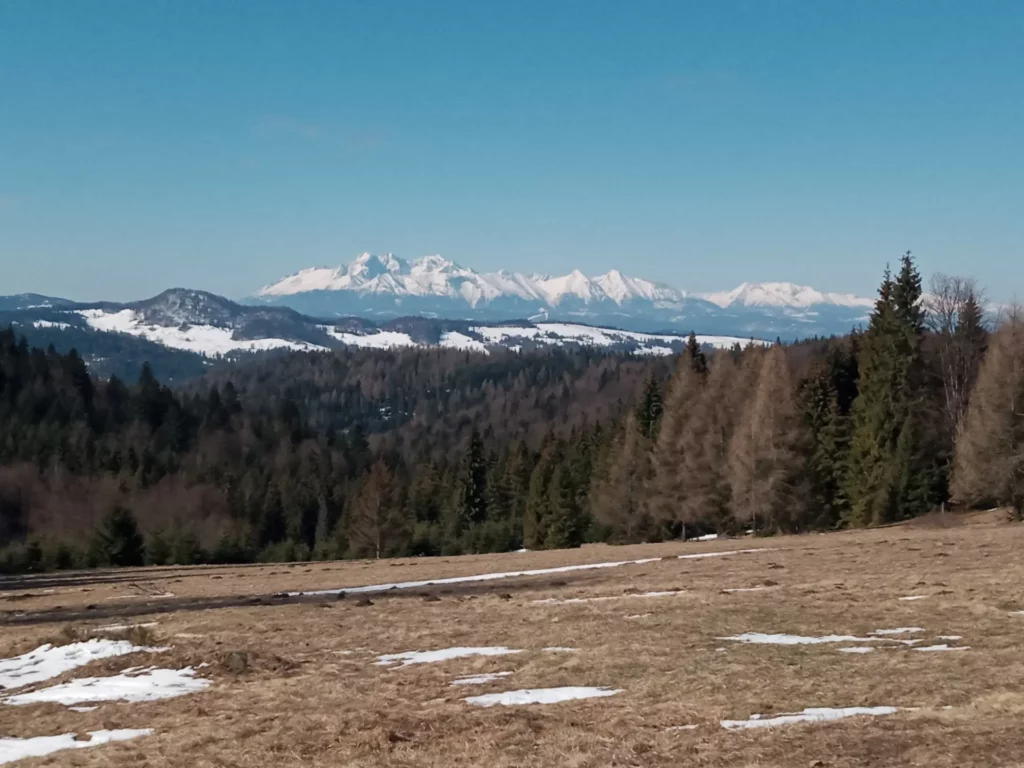 Widok na Tatry