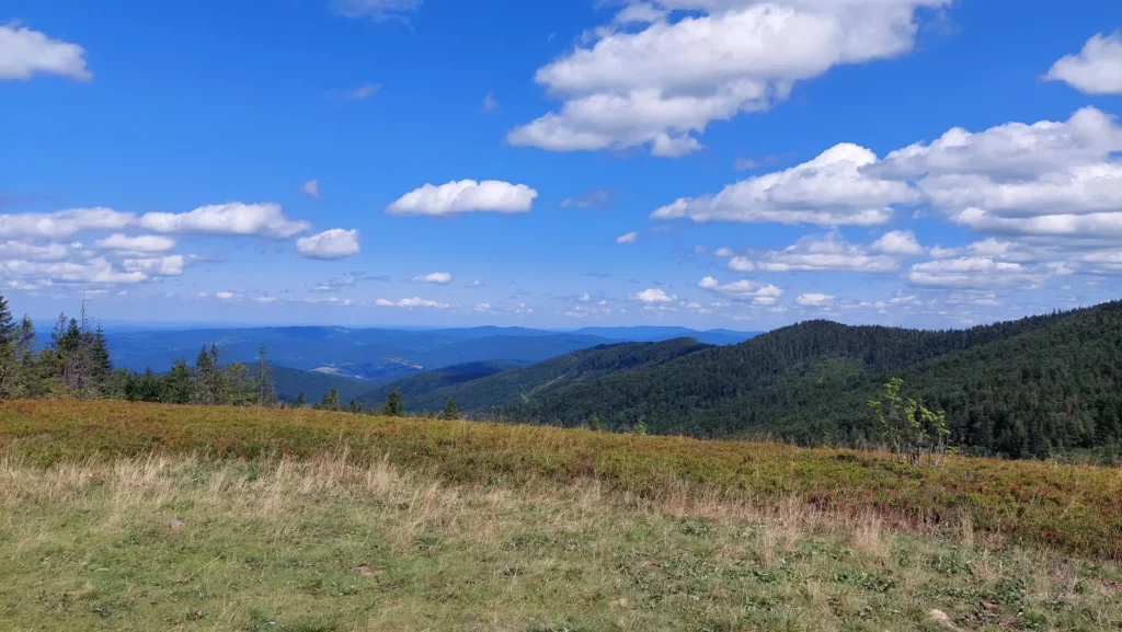 Panorama z Kociej Łapy
