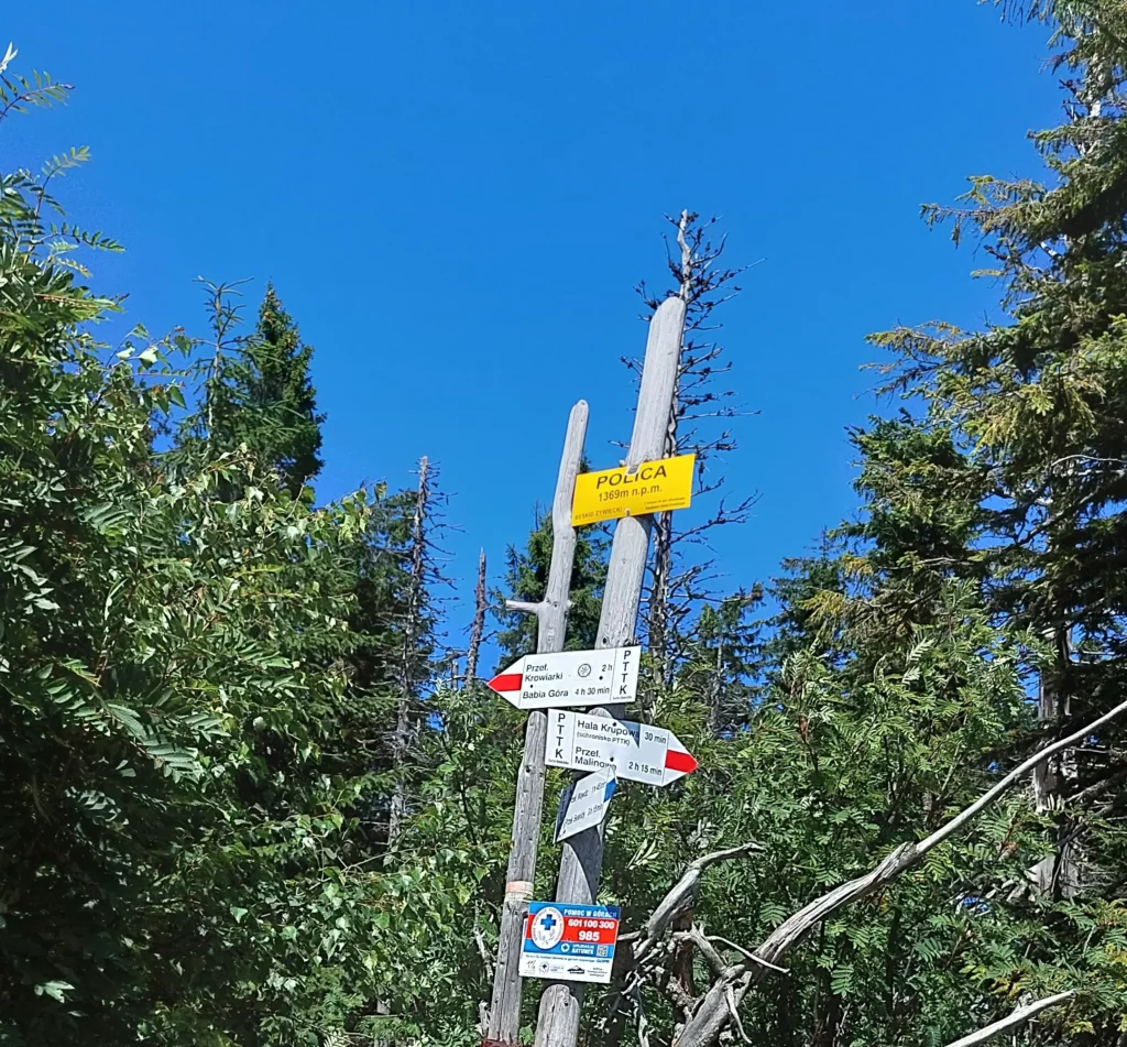 Polica - zn  ak na szczycie