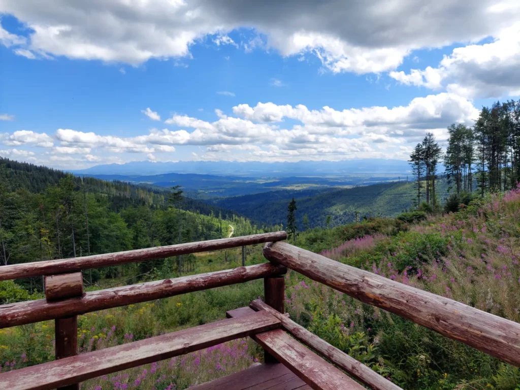 Widok ze Schroniska PTTK na Hali Krupowej