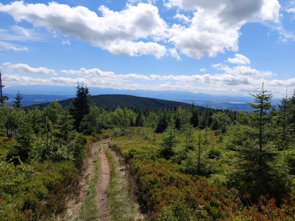 Panorama niebieski szlak na Police
