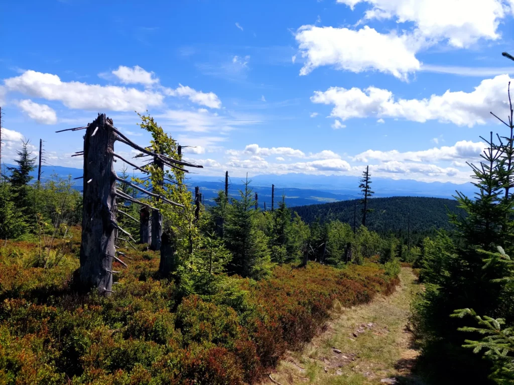 panorama na Tatry