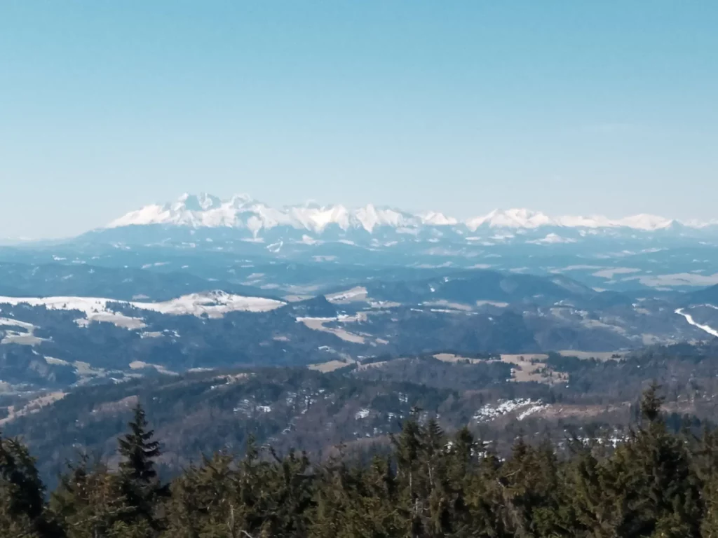 widok z wieży Radziejowa
