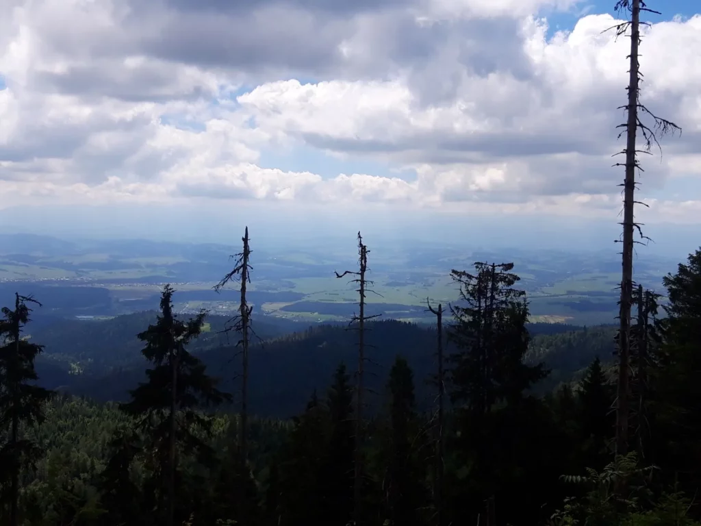 widok z Turbacza