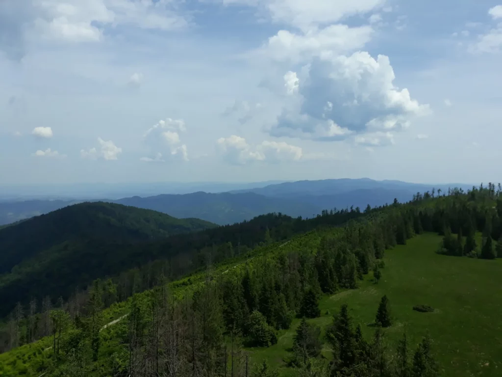 Panorama z wieży widokowej Lubań
