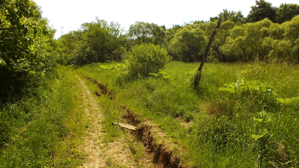 Żółty szlak w prawo na Piotruś