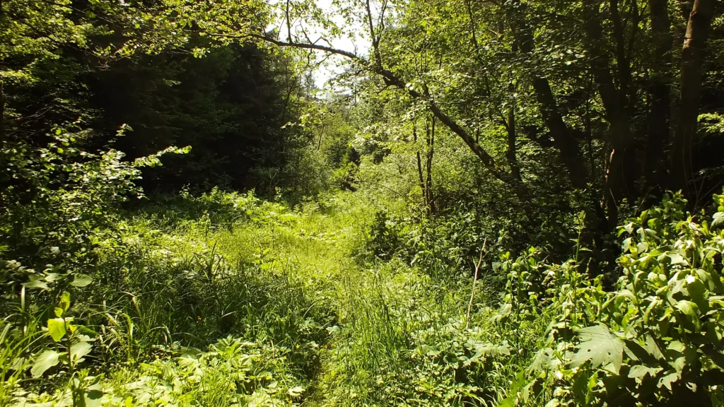 źle oznakowany szlak na Piotruś