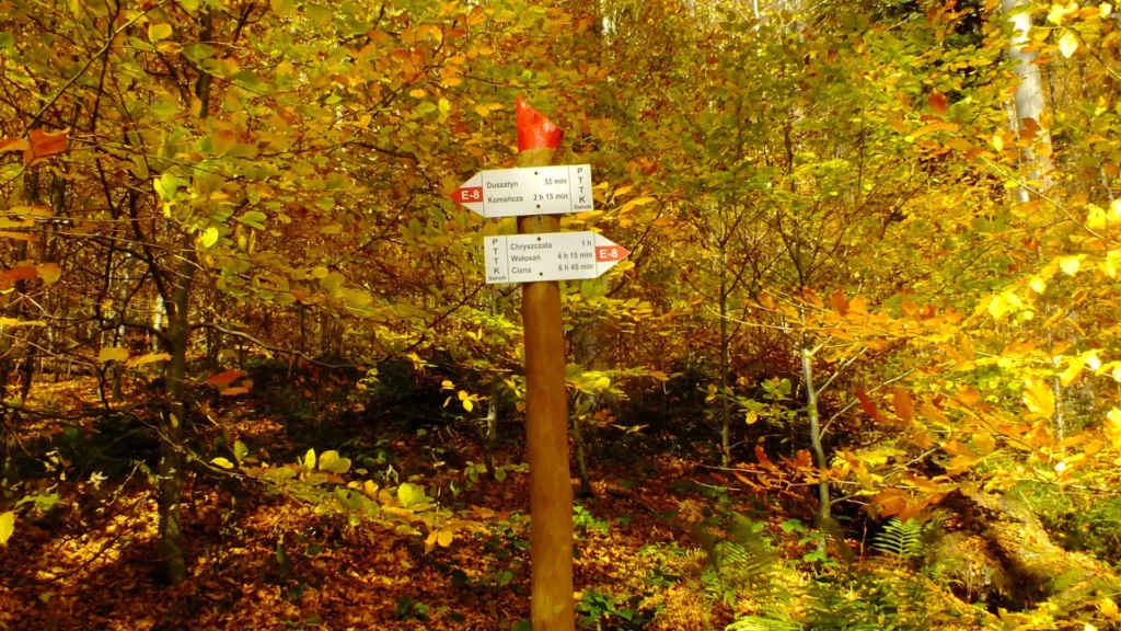 jeziorka duszatyńskie znak