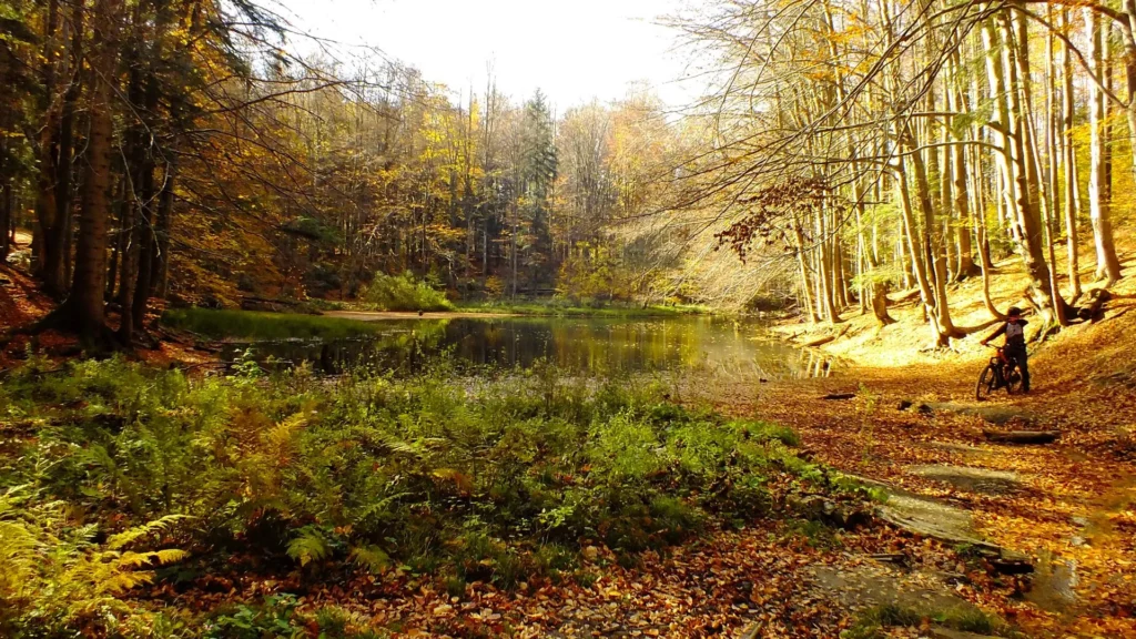 jeziorka duszatyńskie jesienią