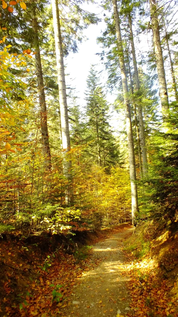 czerwony szlak na jeziorka duszatyńskie