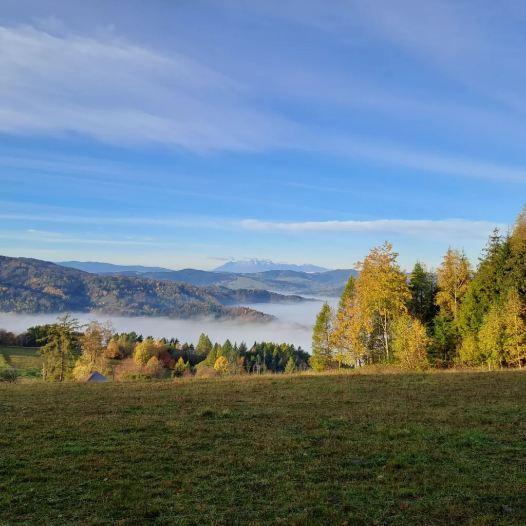 Panorama na Tatry z gór leluchowskich