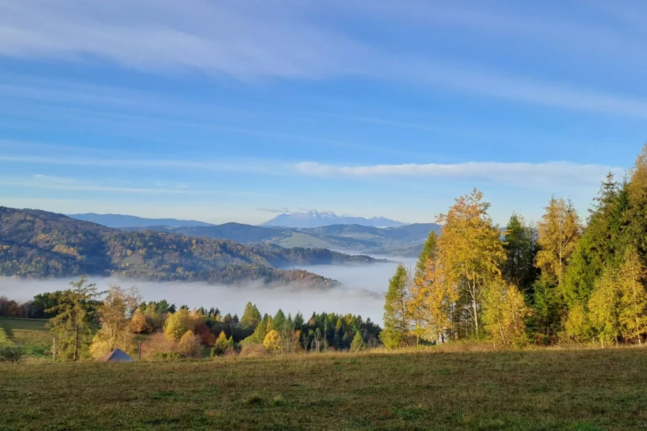 Panorama na Tatry z gór leluchowskich