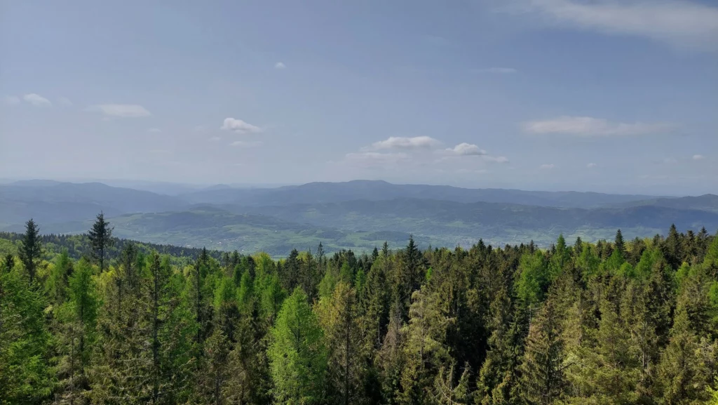 Widok z wieży widokowej na Lubań