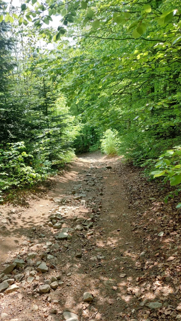 czarny szlak z Modyni