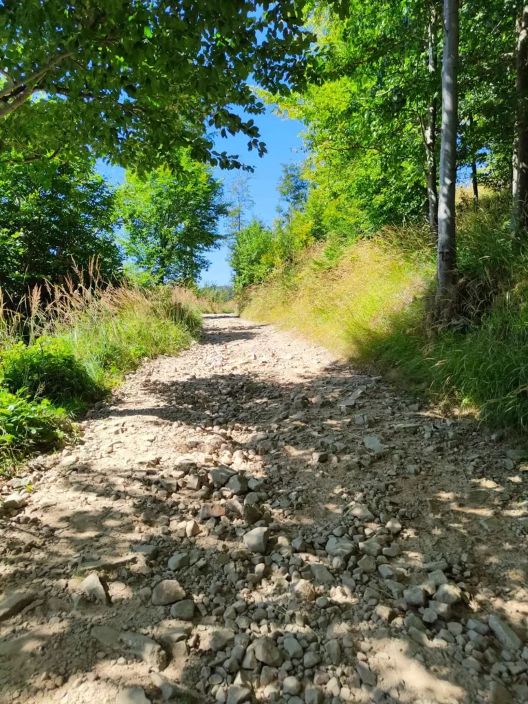 Droga na Wielką Raczę