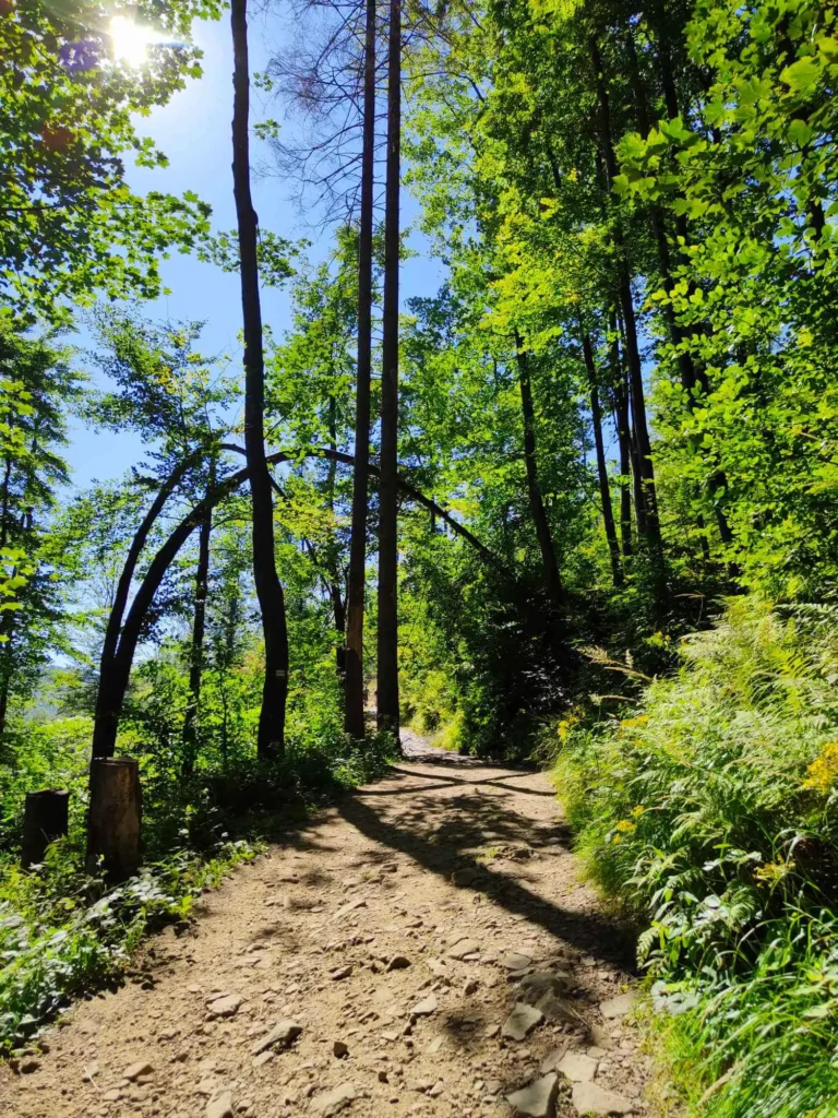 Trasa na WIelką raczę