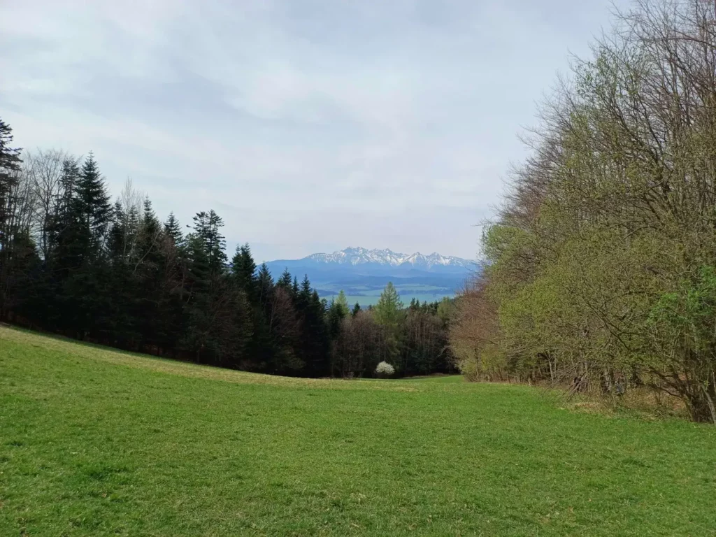 Widok na Tatry z Przełęczy