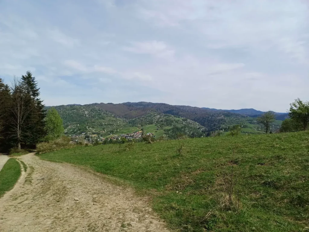 widok ze szlaku