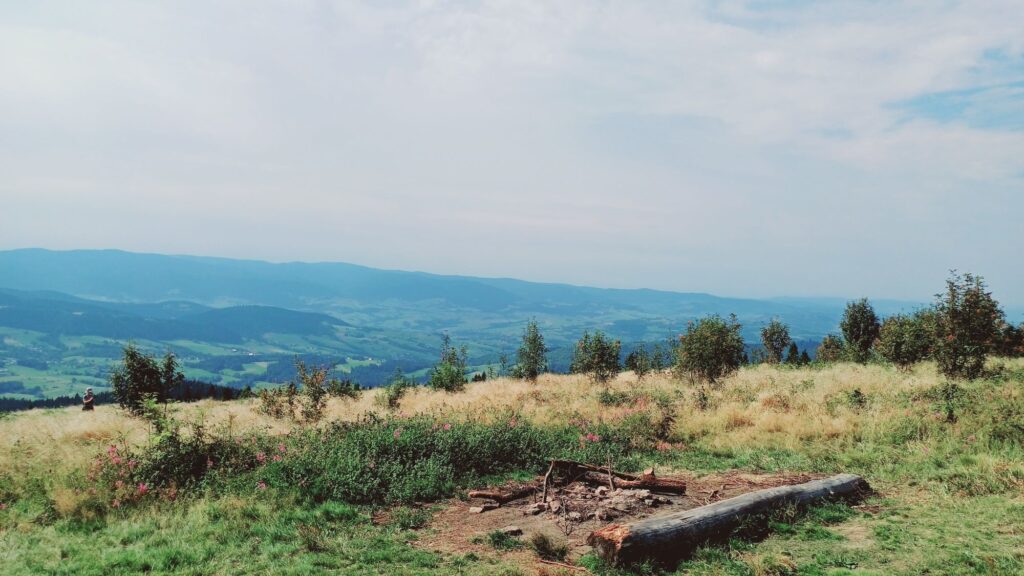 Polana Michurowa - Panorama