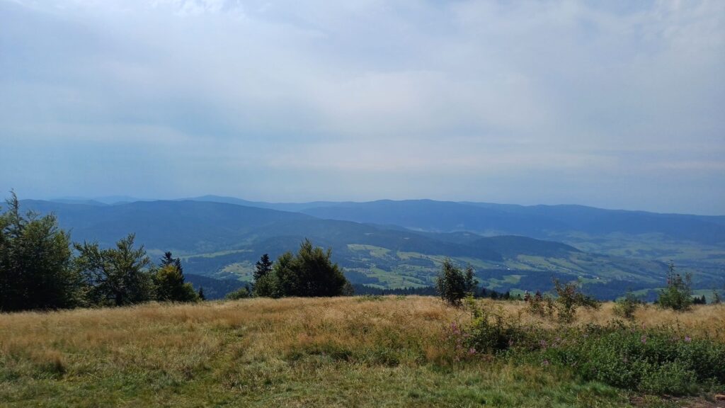 Polana Michurowa - Widoki